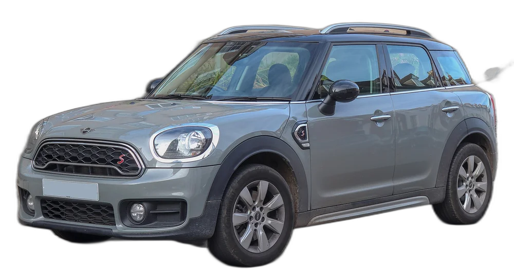 Countryman Electric — real photo, background removed