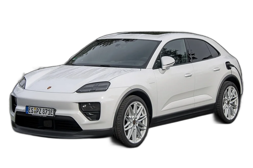 Macan — real photo, background removed